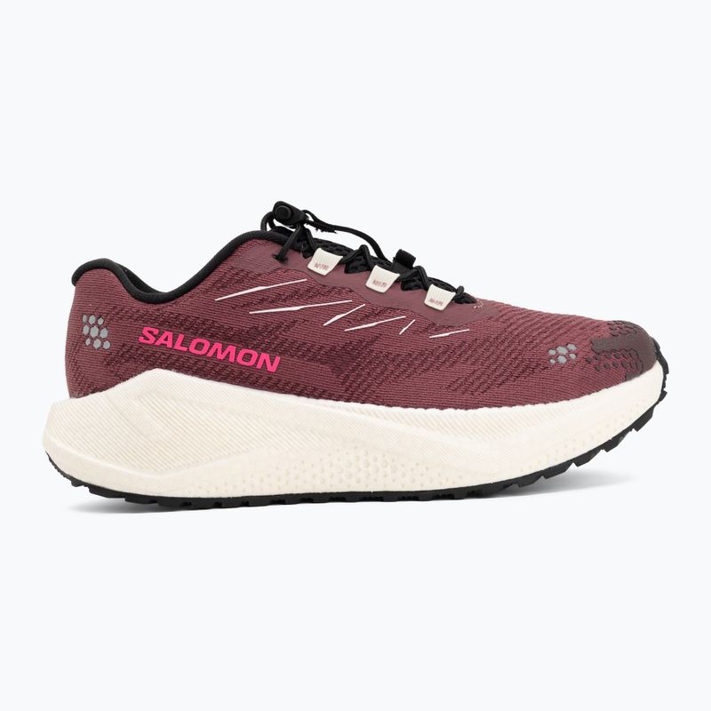 Încălțăminte de alergare pentru femei Salomon Aero Blaze 4 GRVL nocturne/vanilla ice 2