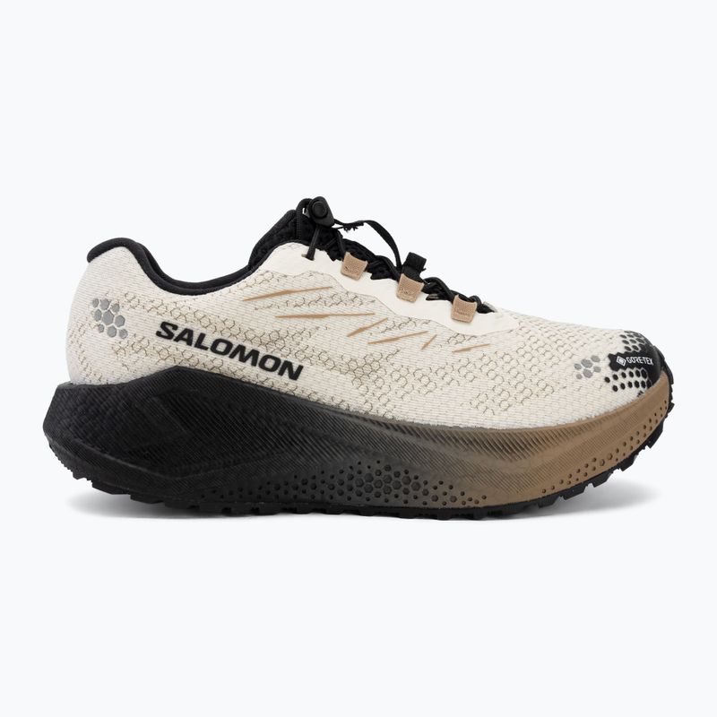 Încălțăminte de alergare pentru femei Salomon Aero Blaze 4 GRVL GTX vanilla ice/black 2