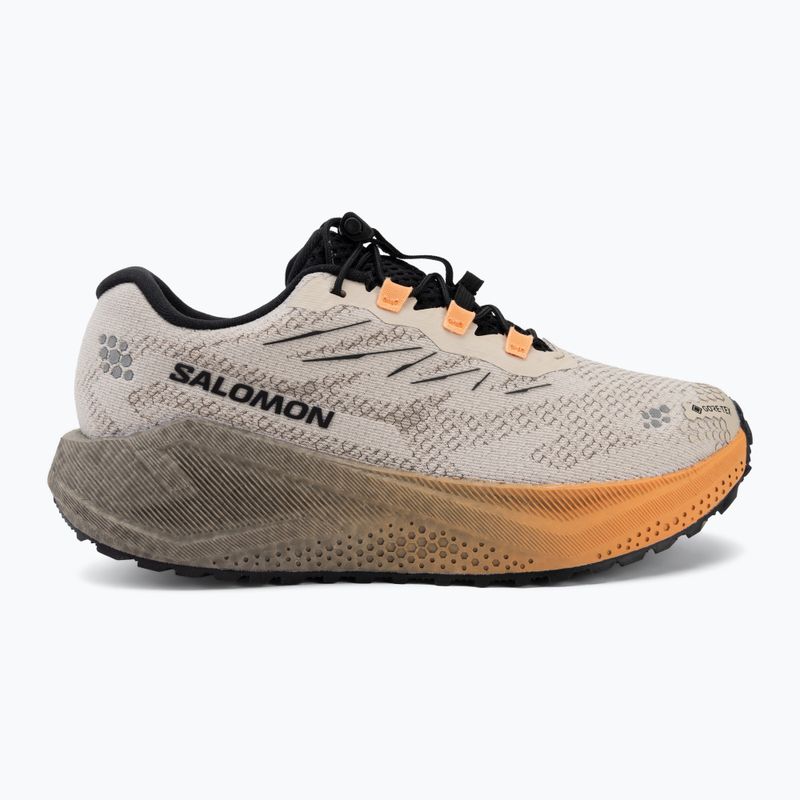 Încălțăminte de alergare pentru femei Salomon Aero Blaze 4 GRVL GTX rainy day/black 2