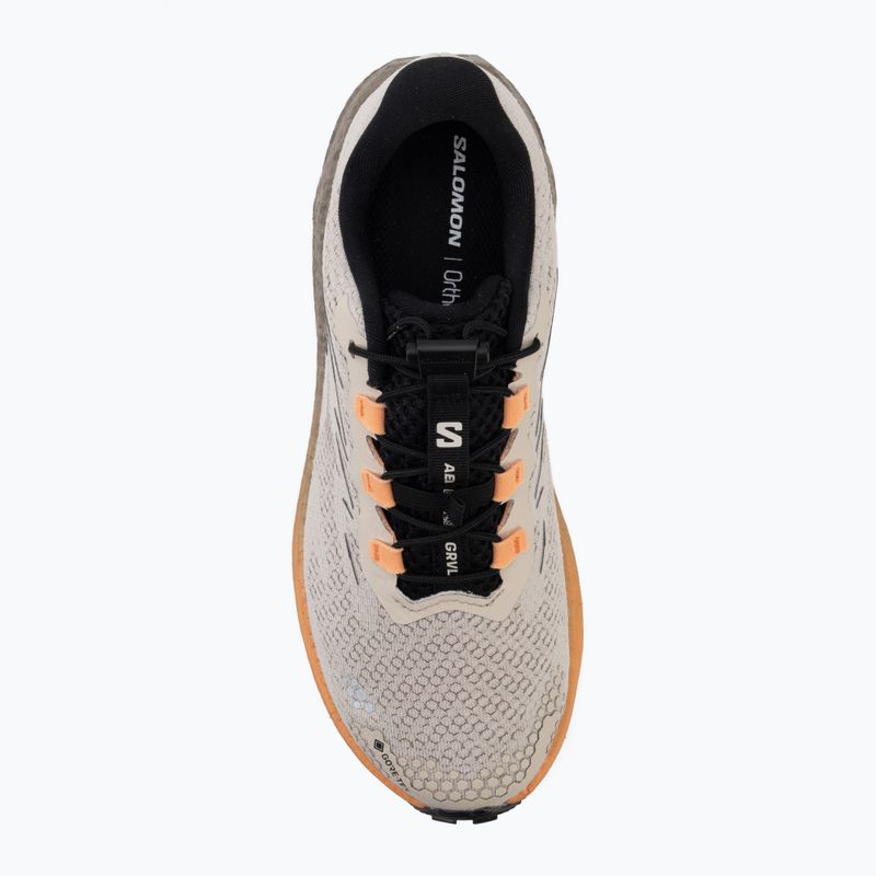 Încălțăminte de alergare pentru femei Salomon Aero Blaze 4 GRVL GTX rainy day/black 5