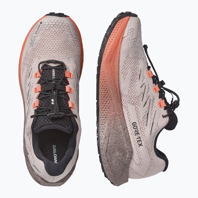 Încălțăminte de alergare pentru femei Salomon Aero Blaze 4 GRVL GTX rainy day/black 3