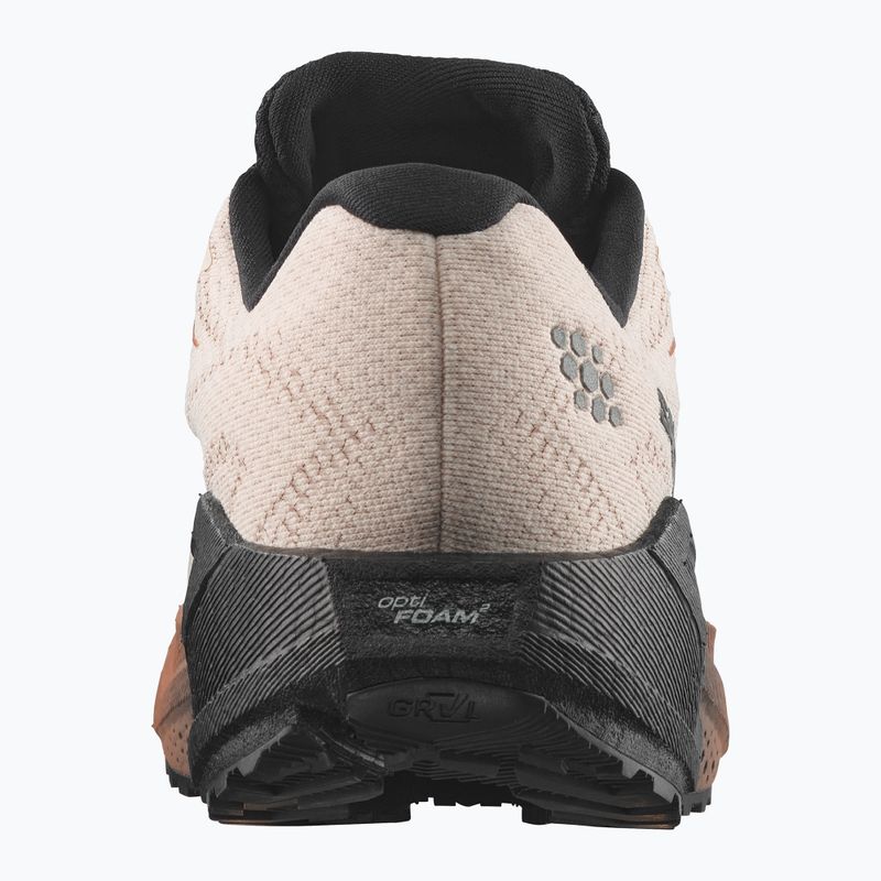 Încălțăminte de alergare pentru bărbați Salomon Aero Blaze 4 GRVL GTX vanilla ice/black 2