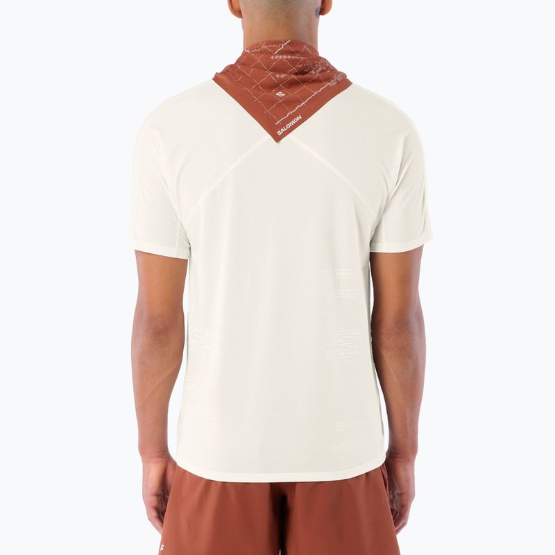 Tricou de alergare pentru bărbați Salomon Sense Aero GFX Tee SS whisper white/raind day/bright white 2