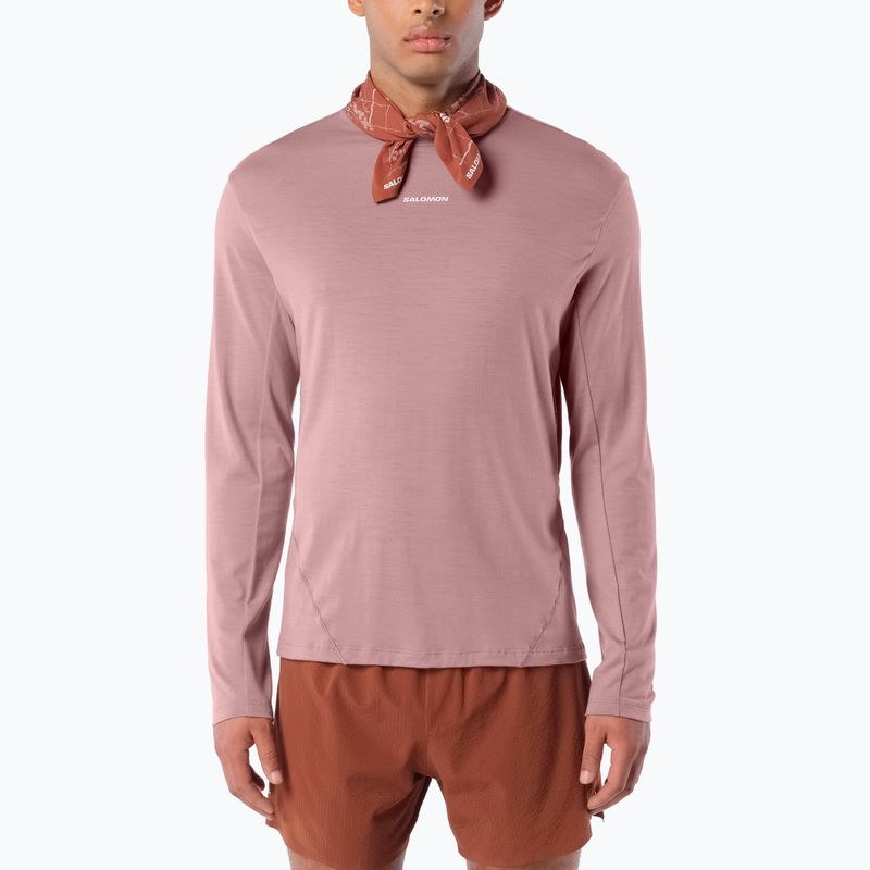Longsleeve de alergare pentru bărbați Salomon Sense Merino Tee LS antler