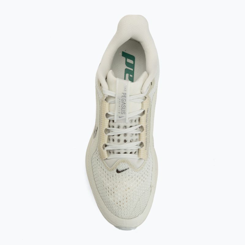 Încălțăminte de alergare pentru femei Nike Pegasus Premium sea glass/malachite/metallic silver 5