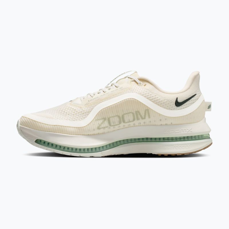 Încălțăminte de alergare pentru bărbați Nike Pegasus Premium Pale ivory/jade horizon/black spruce 2