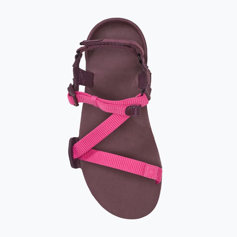 Sandale barefoot pentru femei Xero Shoes Z-Trail EV fuchsia purple 5