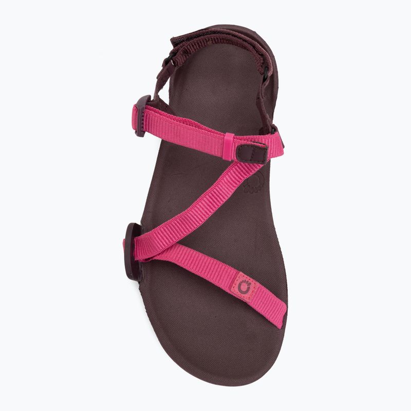 Sandale barefoot pentru femei Xero Shoes Z-Trail EV fuchsia purple 5