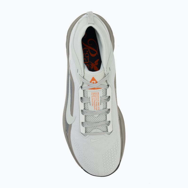 Încălțăminte de alergare pentru bărbați Nike ACG Pegasus Trail GORE-TEX Light Silver/Light Army/Light Silver 5