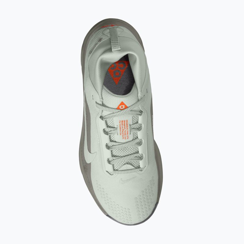 Încălțăminte de alergare pentru femei Nike ACG Pegasus Trail GORE-TEX Light Silver/Light Army/Light Silver 4