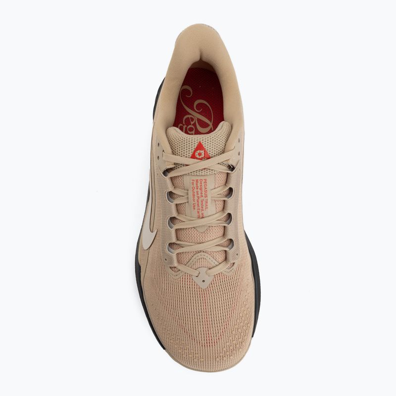 Încălțăminte de alergare pentru bărbați Nike ACG Pegasus Trail linen/black/light crimson/light orewood brown 5