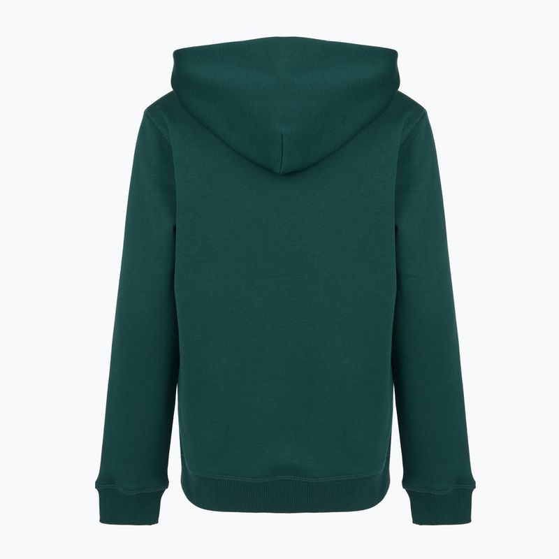 Bluză pentru copii New Balance Brush Back Small Logo Hoodie medusa green 7