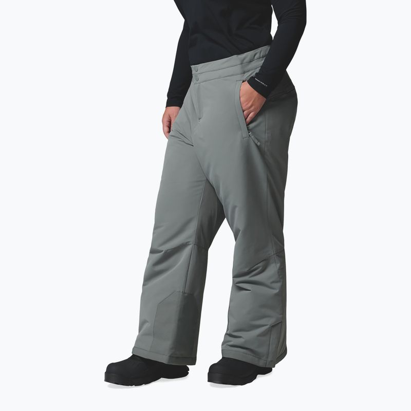 Pantaloni de schi pentru femei Columbia Bugaboo III sedona sage 4