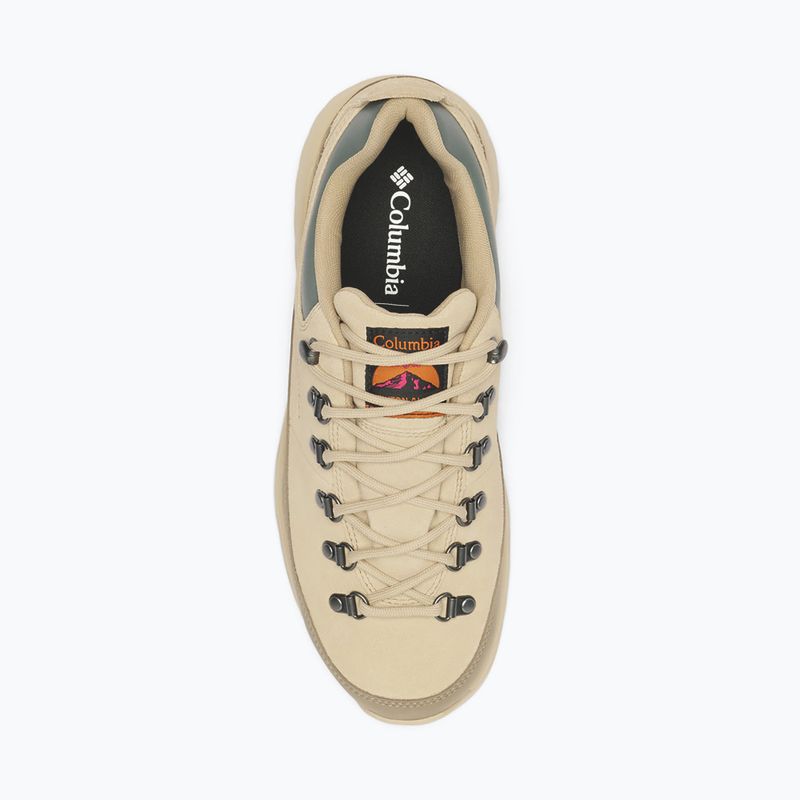 Încălțăminte de trekking pentru bărbați Columbia Newton Alpine Low fossil/sedona sage 4