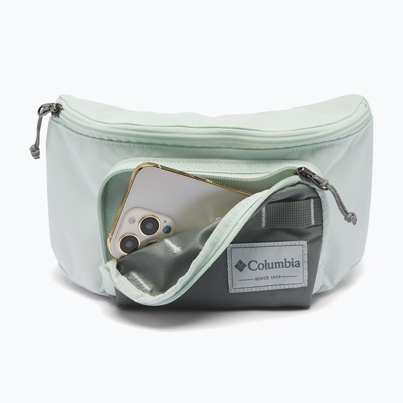 Borsetă Columbia Zigzag II Hip Pack 1 l sedona sage/tea light 4