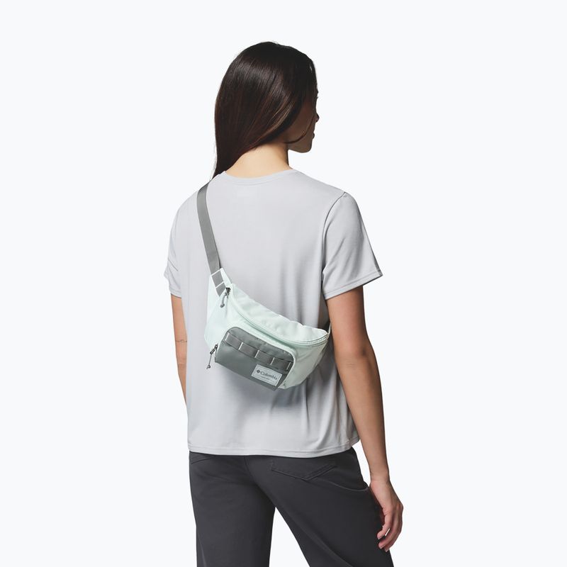 Borsetă Columbia Zigzag II Hip Pack 1 l sedona sage/tea light 6