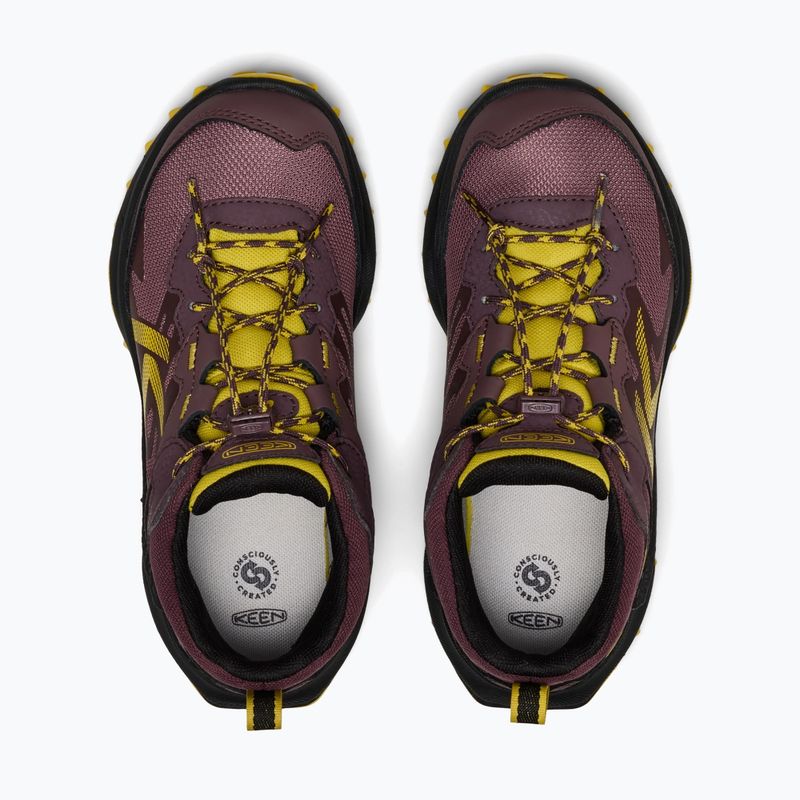Încălțăminte de trekking pentru copii KEEN Zionic Mid Wp huckleberry/mango mint 5