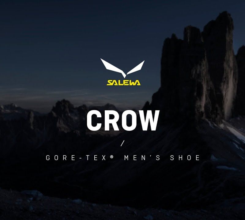 Salewa Crow GTX cizme de munte pentru femei negru 00-0000061329 14