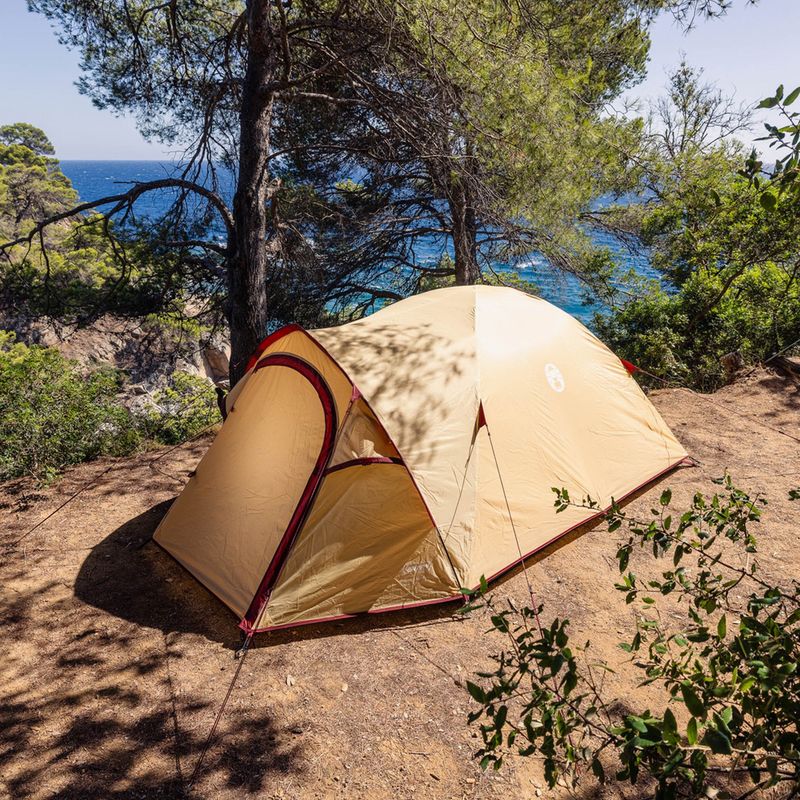 Cort de camping 3-persoane Coleman Darwin Summer 3 + beige 8