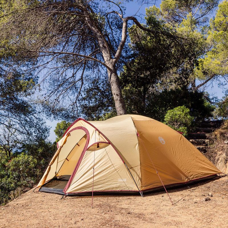 Cort de camping 4-persoane Coleman Darwin Summer 4 + beige 9