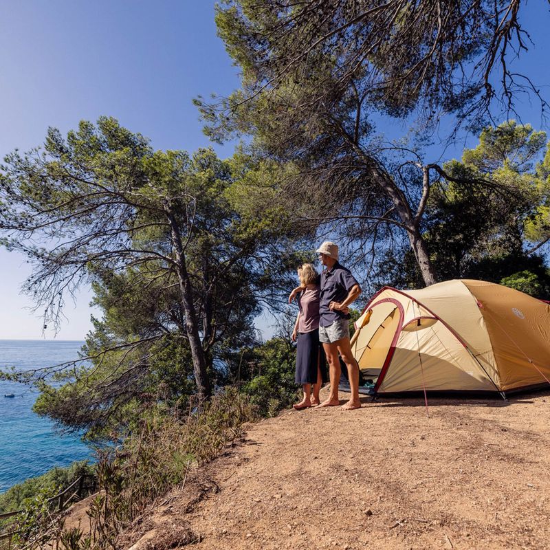 Cort de camping 4-persoane Coleman Darwin Summer 4 + beige 10