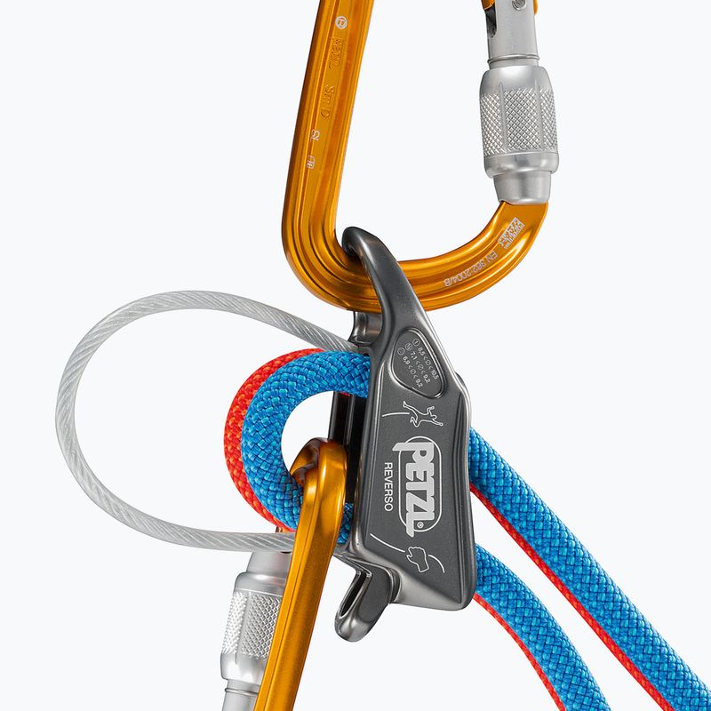 Dispozitiv de asigurare/cățărare Petzl Reverso gri D017AA00 4