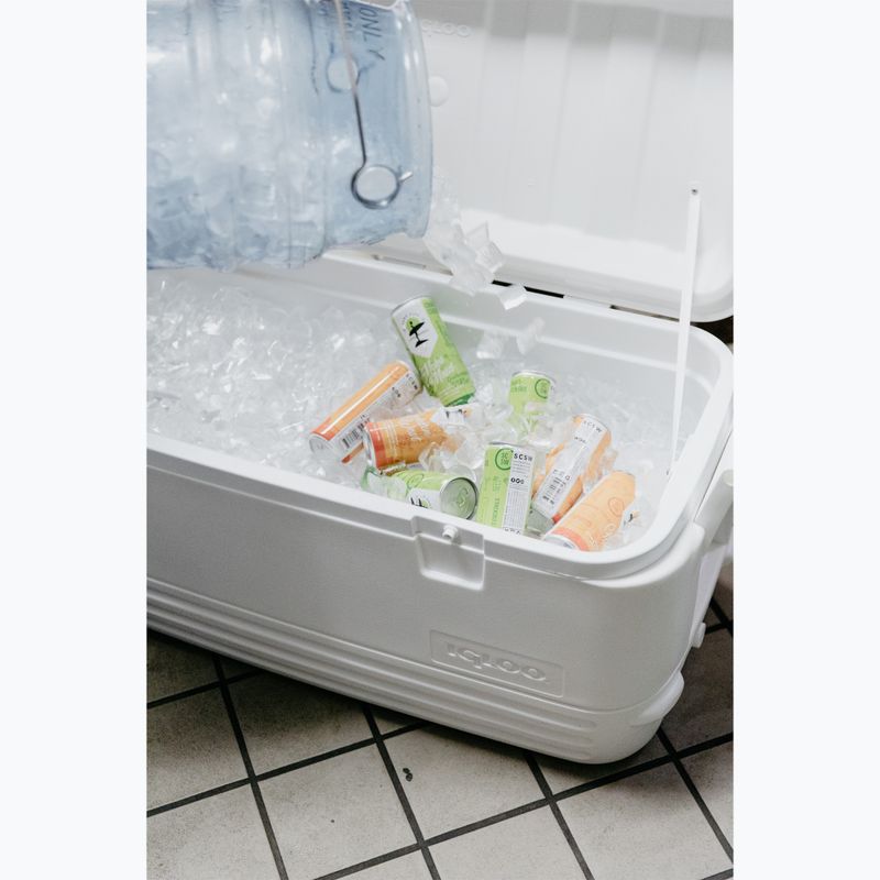 Frigider turistic Igloo Polar 120 Qt 113 l white 11