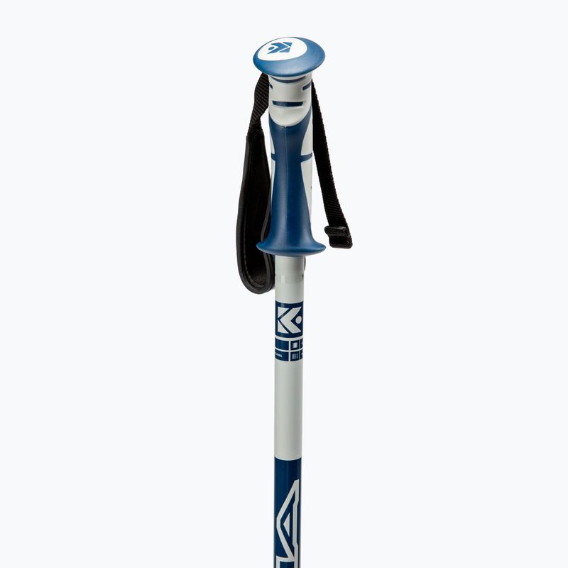Bețe Dynastar Vector 4, gri, DDJ2020 3