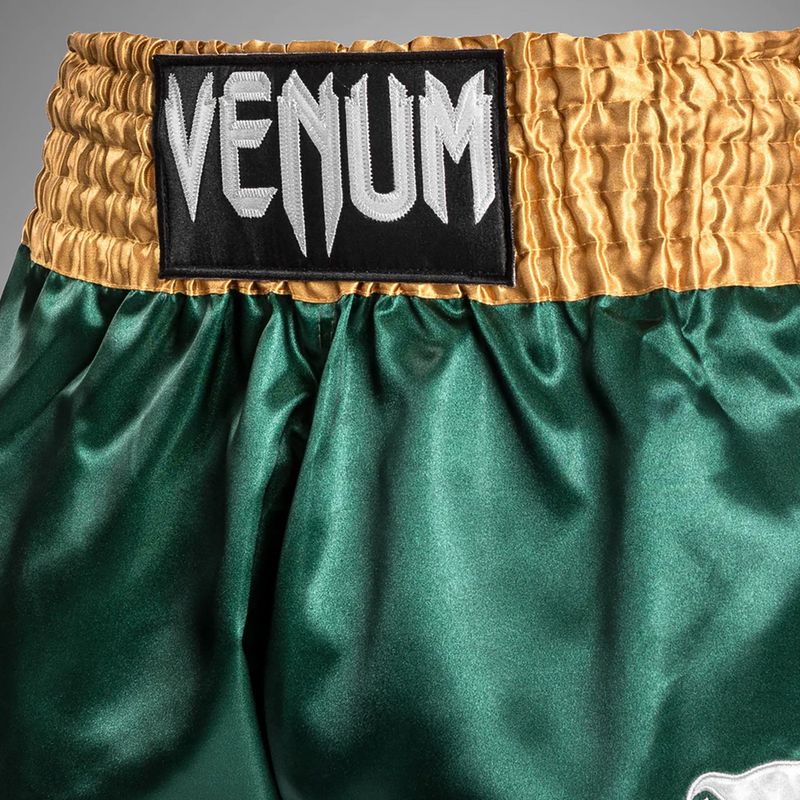 Pantaloni scurți de antrenament pentru bărbați Venum Classic Muay Thai verde/auriu/alb 6