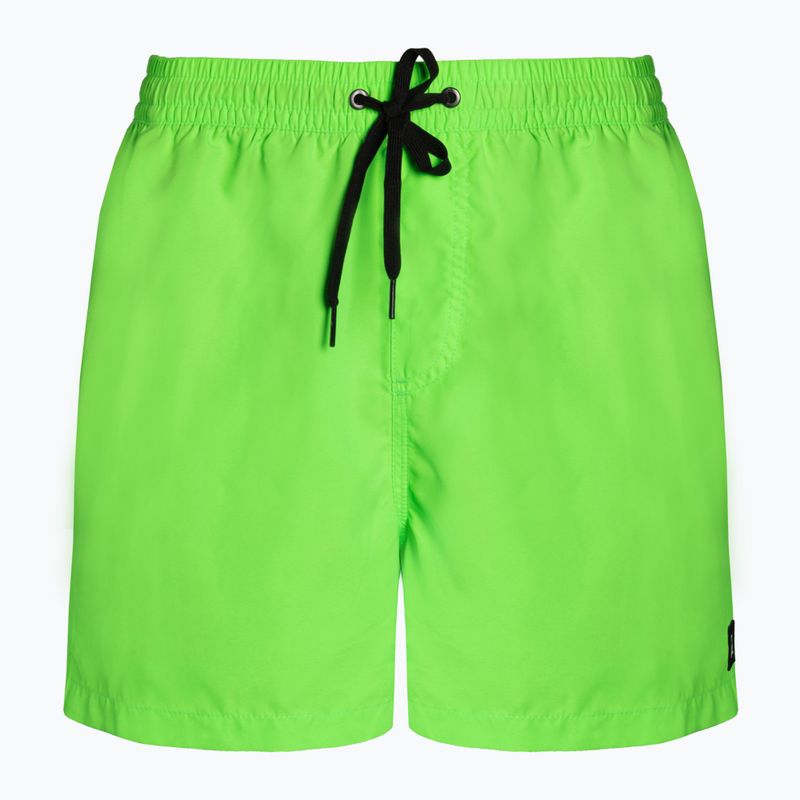 Quiksilver Evdayvl15 pantaloni scurți de baie Jamv Ggy0 verde EQYJV03531-GGY0