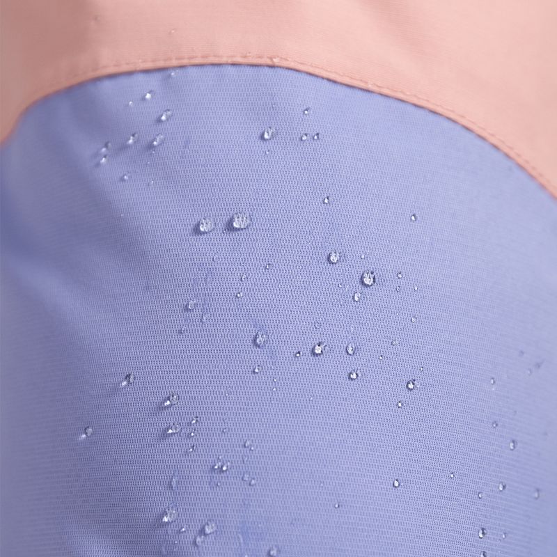 Pantaloni de snowboard pentru femei ROXY Chloe Kim Bib 2021 mellow rose 2