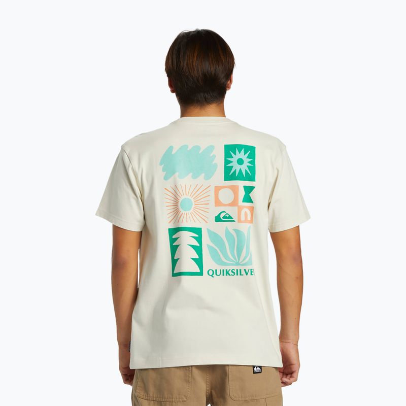 Tricoul bărbătesc Quiksilver Natural Forms Mor silver birch pentru bărbați 2