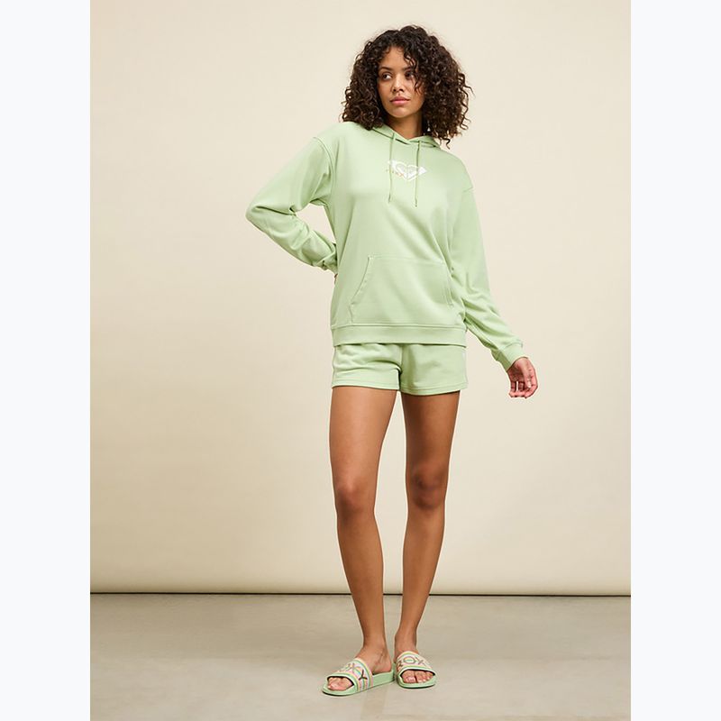 Papuci pentru femei ROXY Slippy II green stripe 4
