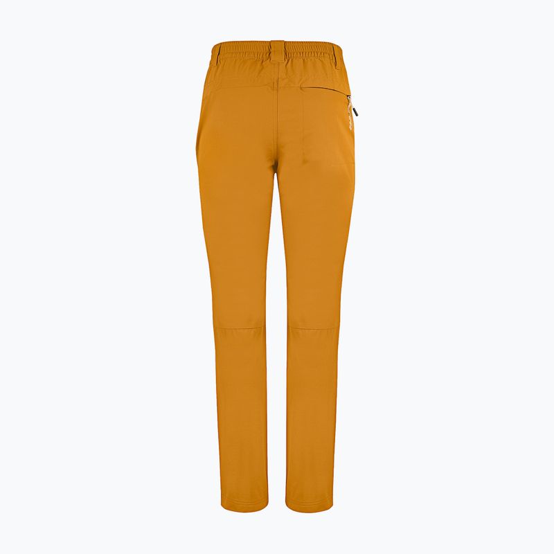 Pantaloni de trekking pentru bărbați Aulp Brady kombucha 7