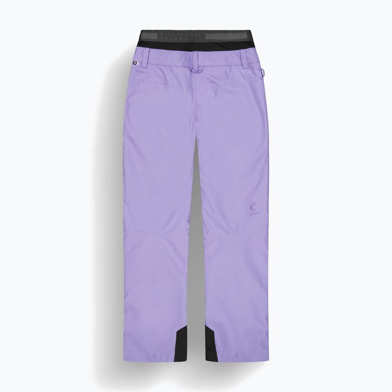 Pantaloni de schi pentru femei Picture Exa paisley purple 9