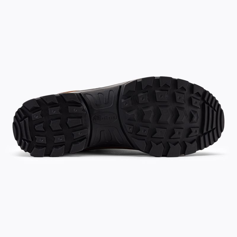 Pantofi de trekking pentru femei Alpina Tundra brown 5