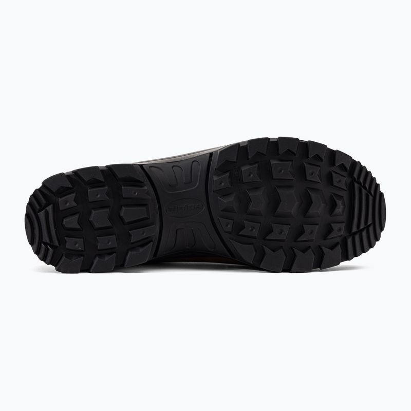 Cizme de trekking pentru bărbați Alpina Tundra brown 5