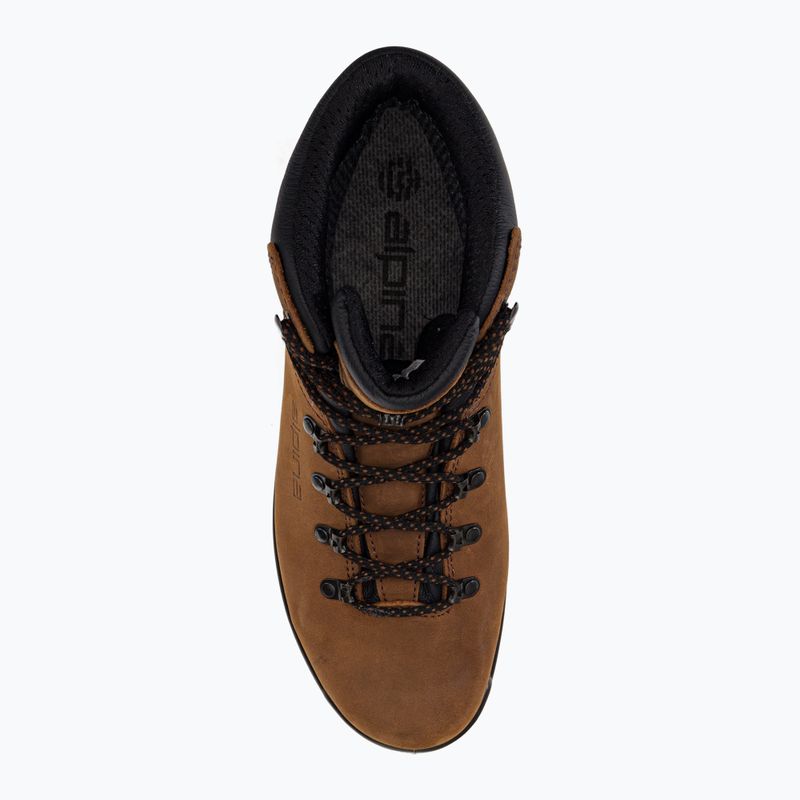 Cizme de trekking pentru bărbați Alpina Tundra brown 6