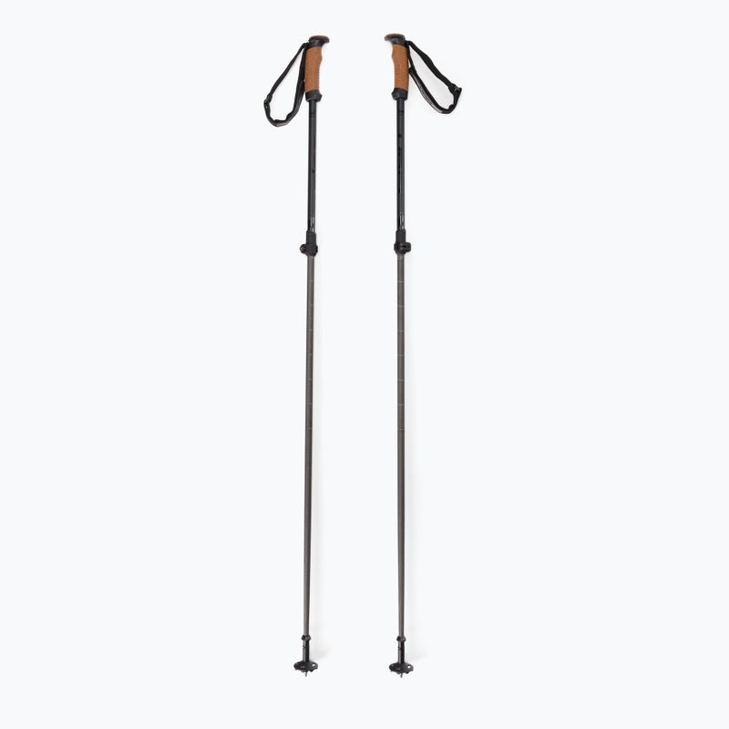 Elan Voyager Rod bețe de schi negru CD907620
