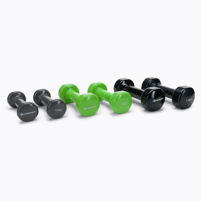 Gantere Schildkrot set Vinyl Dumbbells in Suitcase 960010
