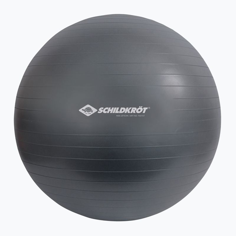 Schildkröt Minge de gimnastică gri 960157