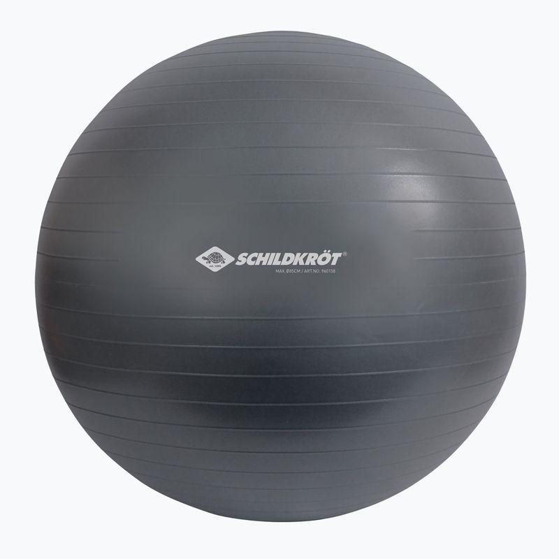 Schildkröt Minge de gimnastică gri 960158