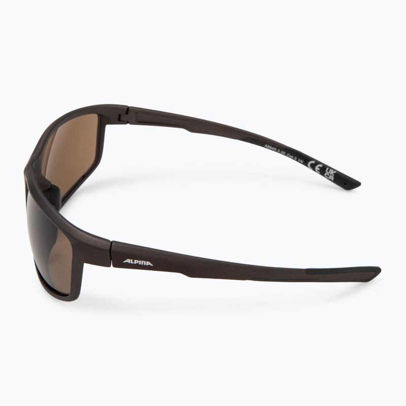Ochelari de soare Alpina 4