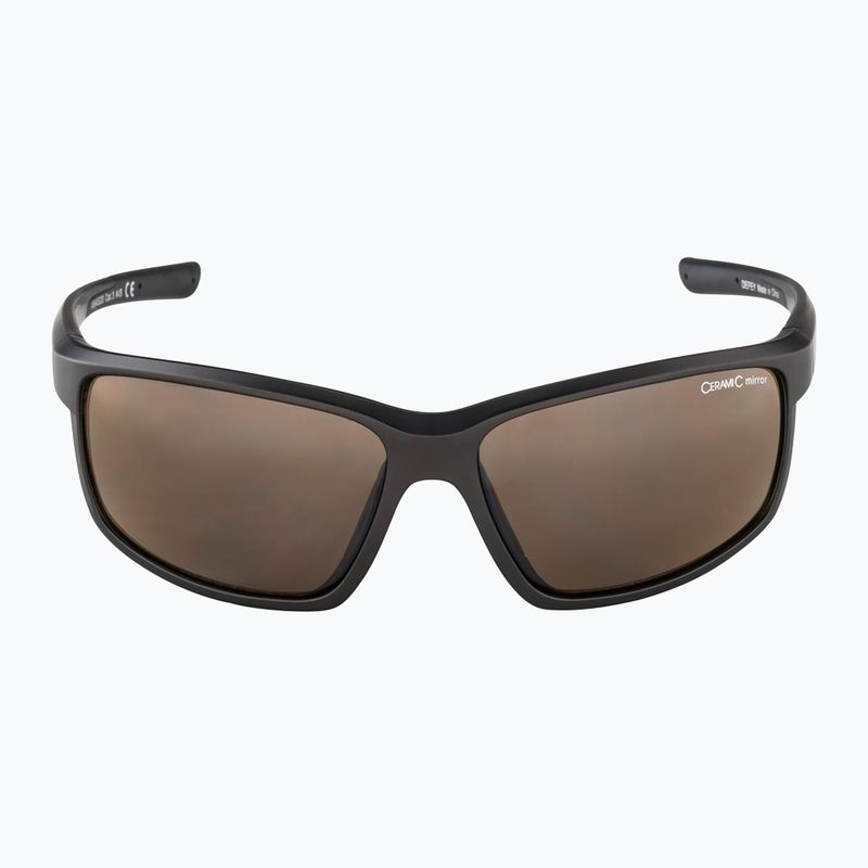 Ochelari de soare Alpina 6