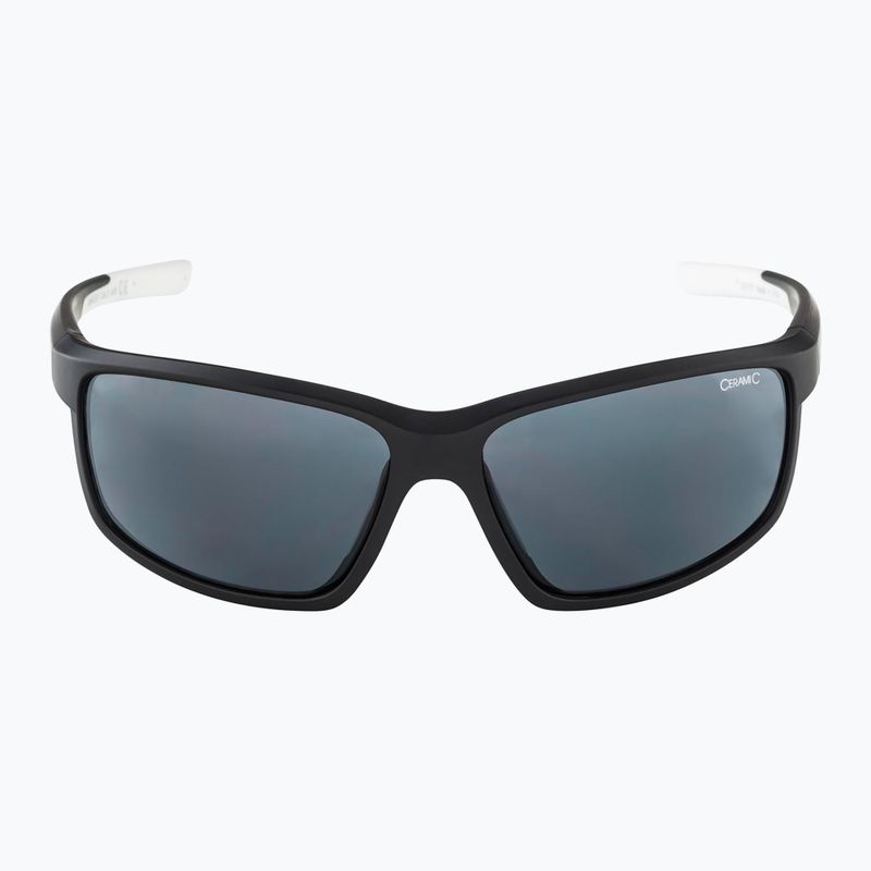 Ochelari de soare Alpina 6