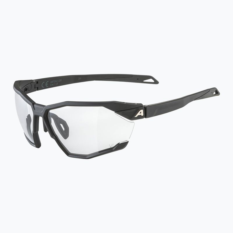 Ochelari de soare Alpina Twist Six V black matt/black 5