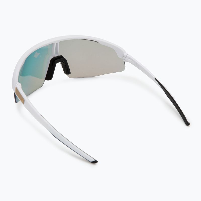 Ochelari de soare Alpina 2