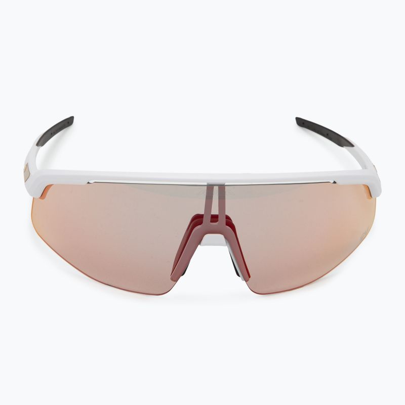Ochelari de soare Alpina 3