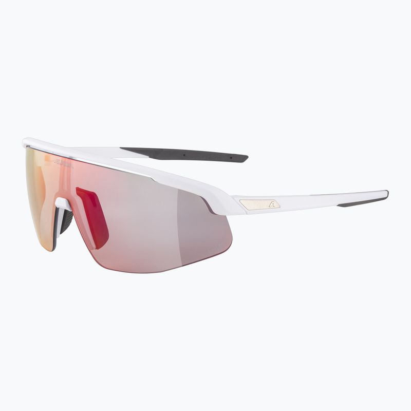 Ochelari de soare Alpina 6