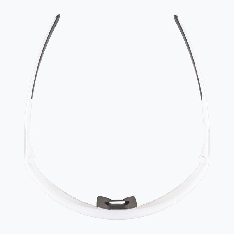 Ochelari de soare Alpina 6